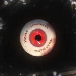 Kayzo - WASTED SPACE